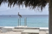 Villa:&nbsp;Beach House Piet Boon