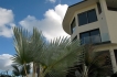 Villa:&nbsp;Villa 5 Estrellas Curacao Caribbean