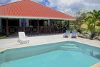 Blue Parrot,&nbsp;Blue Parrot is a wonderful...