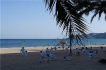 Apartamento:&nbsp;VG 9 2 3