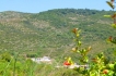 Villa:&nbsp;MOLINOS