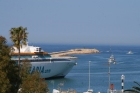 Albanautica