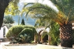 Villa:&nbsp;El Arbol Vivo