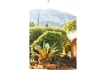 Villa:&nbsp;El Arbol Vivo