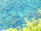 THALASSA,&nbsp;Villa en Moraira. Esplendida...