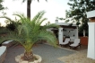 Casa de vacaciones:&nbsp;Villa  Can Curreu