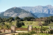 Villa:&nbsp;Finca Figueral Nou