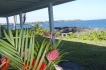 Casa:&nbsp;Ocean front Dolphin house