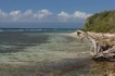 Estudio:&nbsp;Resort Sainte Anne estudio