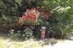 Vivienda de vacaciones:&nbsp;Grace