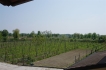 Apartamento:&nbsp;Agriturismo Manerba del Garda 3