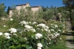 Villa:&nbsp;Villa Rolando 