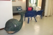Apartamento:&nbsp;Alina