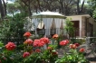 Apartamento:&nbsp;Azalea