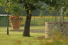 Villa Ponticelli,&nbsp;Villa  bonita y confortable...
