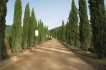 Apartamento:&nbsp;Bacco