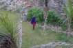 Apartamento:&nbsp;Blue Cove PH2 Watamu Kenya