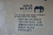 Apartamento:&nbsp;Blue Cove PH2 Watamu Kenya