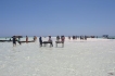 Apartamento:&nbsp;Blue Cove PH2 Watamu Kenya