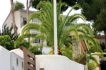 Maison de vacances:&nbsp;Finca Tres Palmeras