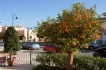 Appartement:&nbsp;Gartenwohnung Anacardo