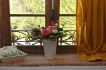 Appartement:&nbsp;Les petit Tenains