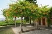 Maison de campagne:&nbsp;Villa Cleofe