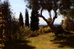 Villa:&nbsp;Casa Marquida