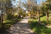 Villa:&nbsp;Casa Marquida