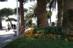 Apartment:&nbsp;Préconil