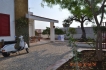 Holiday house:&nbsp;Fico d India
