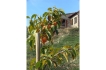 Holiday house:&nbsp;Casa Todi