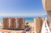 Apartment:&nbsp;Apolo XIV 104