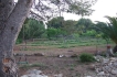 Villa:&nbsp;Villa Mola