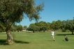 Apartment:&nbsp;Almendros 100