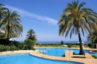 ALBERCA 969,&nbsp;Rental Apartment in...