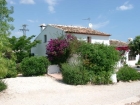 Finca Evi