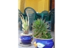 Holiday home:&nbsp;Casa del mar