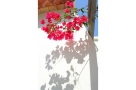 Holiday home / villa:&nbsp;La Corona