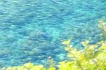 Villa:&nbsp;THALASSA
