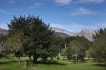 Country house:&nbsp;Son Jorda