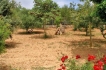 Country house:&nbsp;Can Sanchez
