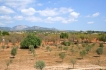 Holiday home:&nbsp;Rotges