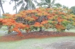 House:&nbsp;Hawaii Kapoho Holiday Home