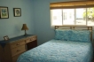 House:&nbsp;Ocean front Dolphin house