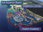 Dolphins Corner,&nbsp;Ocean Resort is HET...