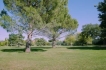 Vakantiewoning:&nbsp;Celine