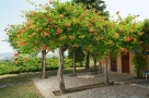 Landhuis:&nbsp;Villa Cleofe