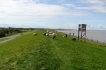 Vakantiewoning:&nbsp;kloostermop