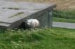 Vakantiewoning:&nbsp;kloostermop